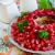 Королевский салат «Гранатовый браслет»: рецепт с фото